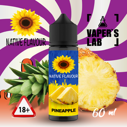 Фото заправка до вейпа native flavour pineapple 60 ml