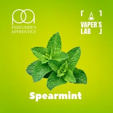 The Perfumer's Apprentice (TPA) TPA "Spearmint" (М'ята)