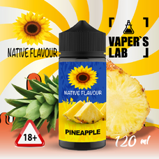 Жидкости для вейпа Native Flavour Pineapple 120