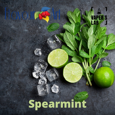  FlavourArt "Spearmint (Мята)"