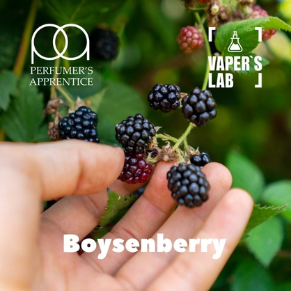 Фото, Ароматизатор для вейпа TPA Boysenberry Бойзенова ягода