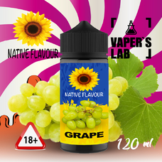 Жижа для вейпа україна Native Flavour Grape 120 ml