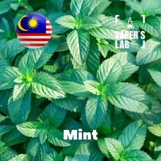  Malaysia flavors "Mint"