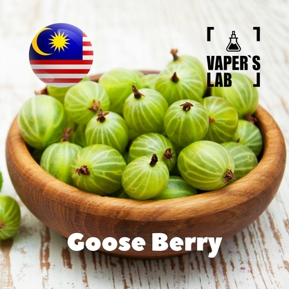 Фото, Відео ароматизатори Malaysia flavors Goose Berry