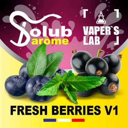 Фото,  Solub Arome Fresh Berries v1 Черника смородина мята ментол