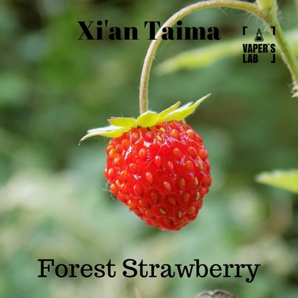 Фото Ароматизатор Xi'an Taima Forest Strawberry Суниця