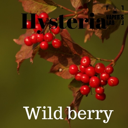 Фото, Жижа для вейпа без нікотину Hysteria Wild berry 100 ml