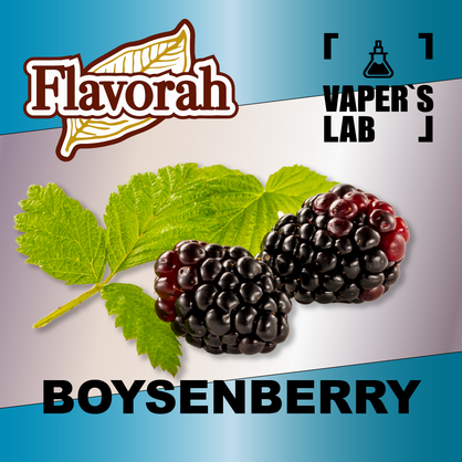 Фото на Ароматизатори Flavorah Boysenberry Бойзенова ягода