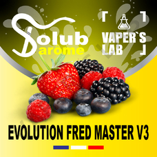 Solub Arome EvolutionFred Master V3 Ягоды и смородина