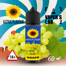 Жидкость для электронных сигарет с никотином Native Flavour Grape