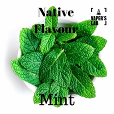  Native Flavour Mint 100