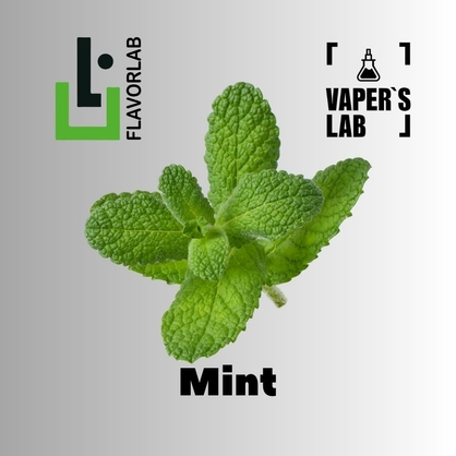 Фото, Видео, Купить ароматизатор Flavor Lab Mint 10 мл