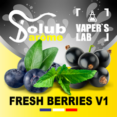 Аромка Solub Arome Fresh Berries v1 Черника смородина мята ментол