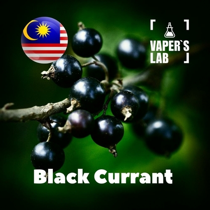 Фото, Видео, ароматизаторы Malaysia flavors Black Currant