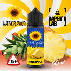  Native Flavour Pineapple 60