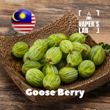 Фото, Видео, ароматизаторы Malaysia flavors Goose Berry