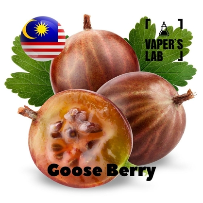 Фото, Видео, ароматизаторы Malaysia flavors Goose Berry