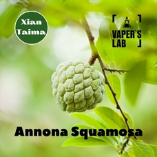  Xi'an Taima "Annona Squamosa" (Анона)