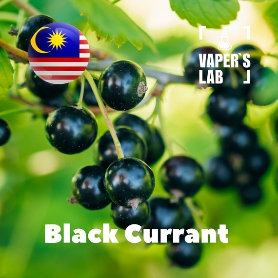 Відгук на ароматизатор Malaysia flavors Black Currant