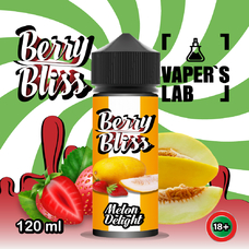 Жидкость для вейпа Berry Bliss Melon Delight 120 мл (дыня с клубникой)
