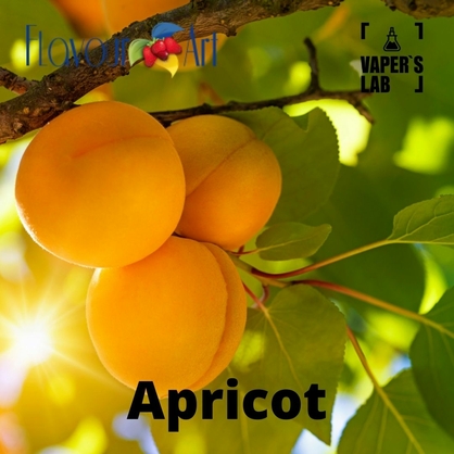 Фото, Ароматизатор для вейпа FlavourArt Apricot Абрикос