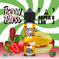 Жижки для вейпа Berry Bliss Melon Delight 60 мл (дыня с клубникой)