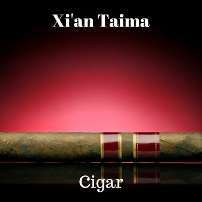 Фото Ароматизатор Xi'an Taima Cigar Сигара