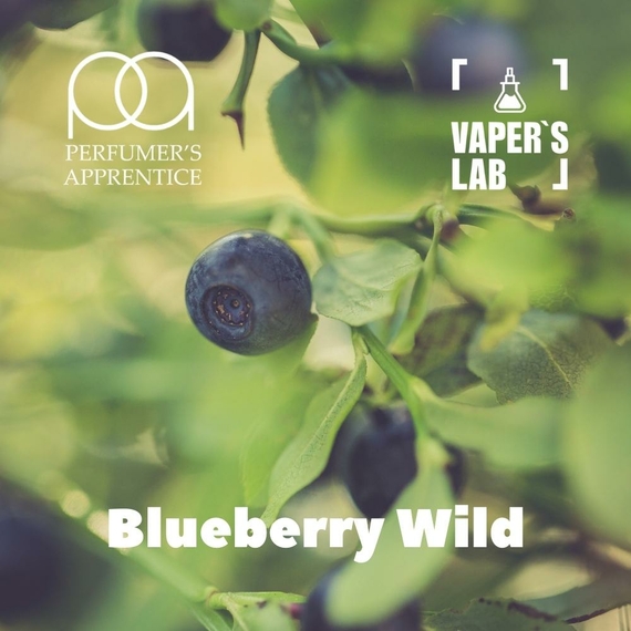 Відгук на ароматизатор TPA Blueberry Wild Свіжа чорниця