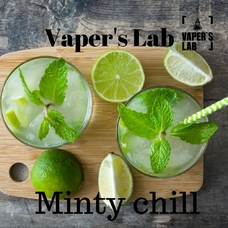 Заправка для вейпа без никотина Vapers Lab Minty chill 30 ml