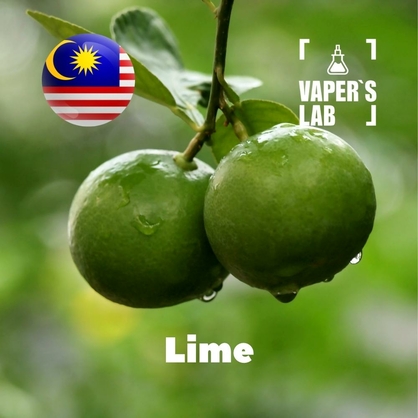 Фото, Відео ароматизатори Malaysia flavors Lime