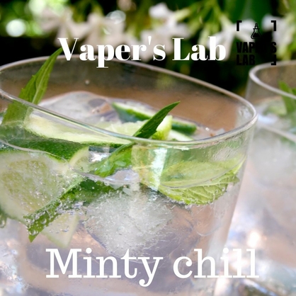 Фото, Рідина для вейпа Vapers Lab Minty chill 30 ml