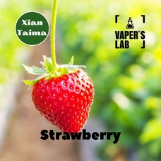  Xi'an Taima "Strawberry" (Клубника)