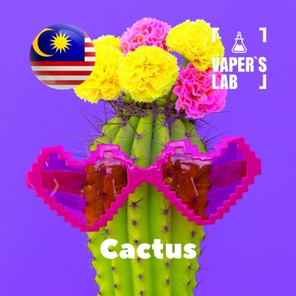 Фото, Відео ароматизатори Malaysia flavors Cactus