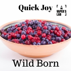 Жижа 100 мл - Топовая жидкость для вейпа Quick Joy Wild Born