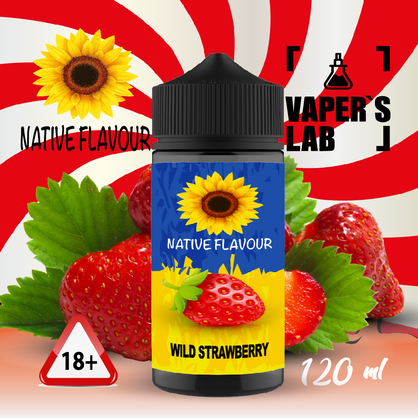 Фото рідина для вейпа native flavour wild strawberry 120 ml