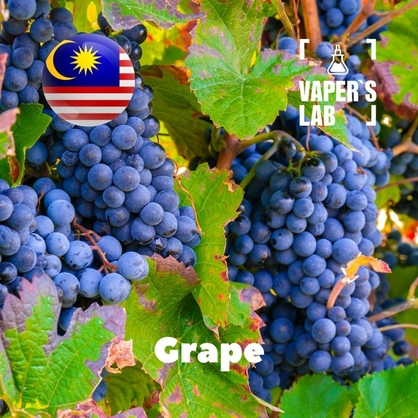 Фото, Видео, ароматизаторы Malaysia flavors Grape