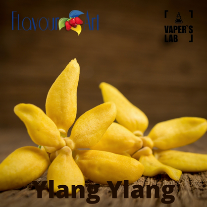 Фото, Ароматизатор для вейпа FlavourArt Ylang Ylang Іланг-іланг
