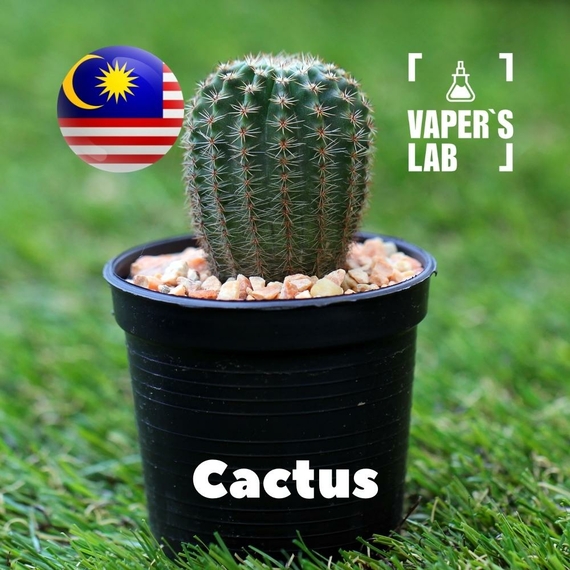 Відгук на ароматизатор Malaysia flavors Cactus