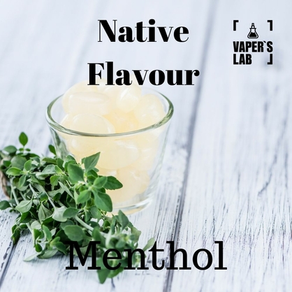 Фото, жижи для вейпа Native Flavour Menthol 100 ml