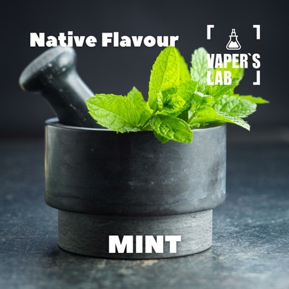 Фото, Відео на Ароматизатор для самозамісу Native Flavour Mint 30мл