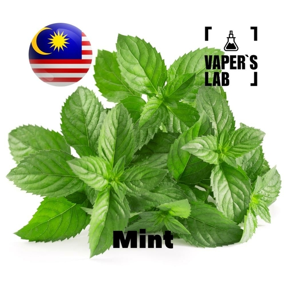 Відгук на ароматизатор Malaysia flavors Mint
