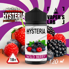 Купити заправку для вейпа Hysteria Wild berry 100 ml