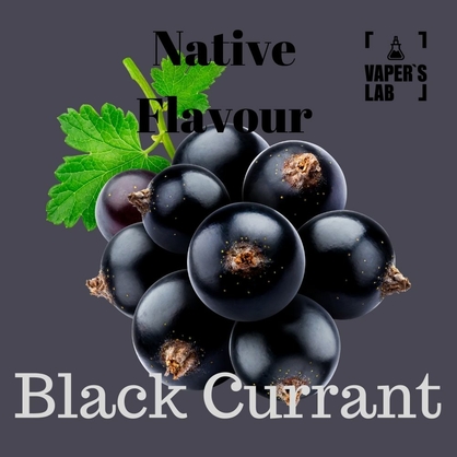 Фото купити рідину native flavour black currant 120 ml