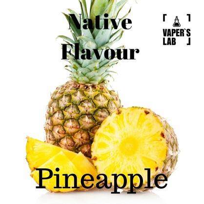 Фото, Видео на жидкости для парения Native Flavour Pineapple 100 ml