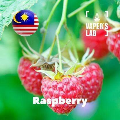 Фото, Відео ароматизатори Malaysia flavors Raspberry