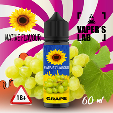  Native Flavour Grape 60
