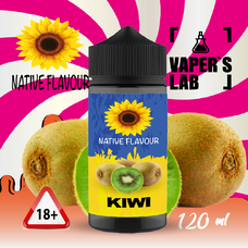 Жижа для вейпа без никотина купить Native Flavour Kiwi 120 ml
