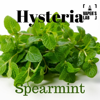 Фото, Видео на Жидкости для вейпов Hysteria Spearmint 100 ml