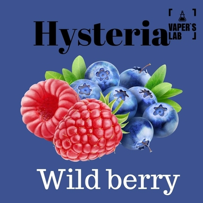 Фото, Жижа для вейпа без нікотину Hysteria Wild berry 100 ml