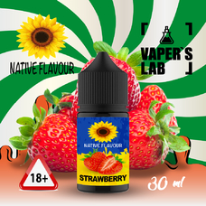  Native Flavour Salt Strawberry 30